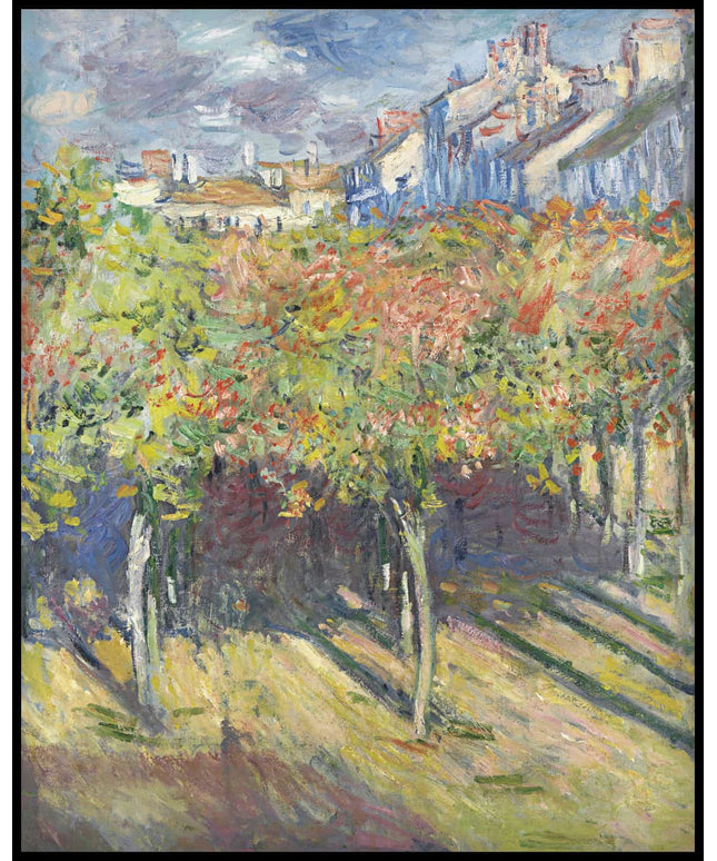 Les tilleuls à Poissy