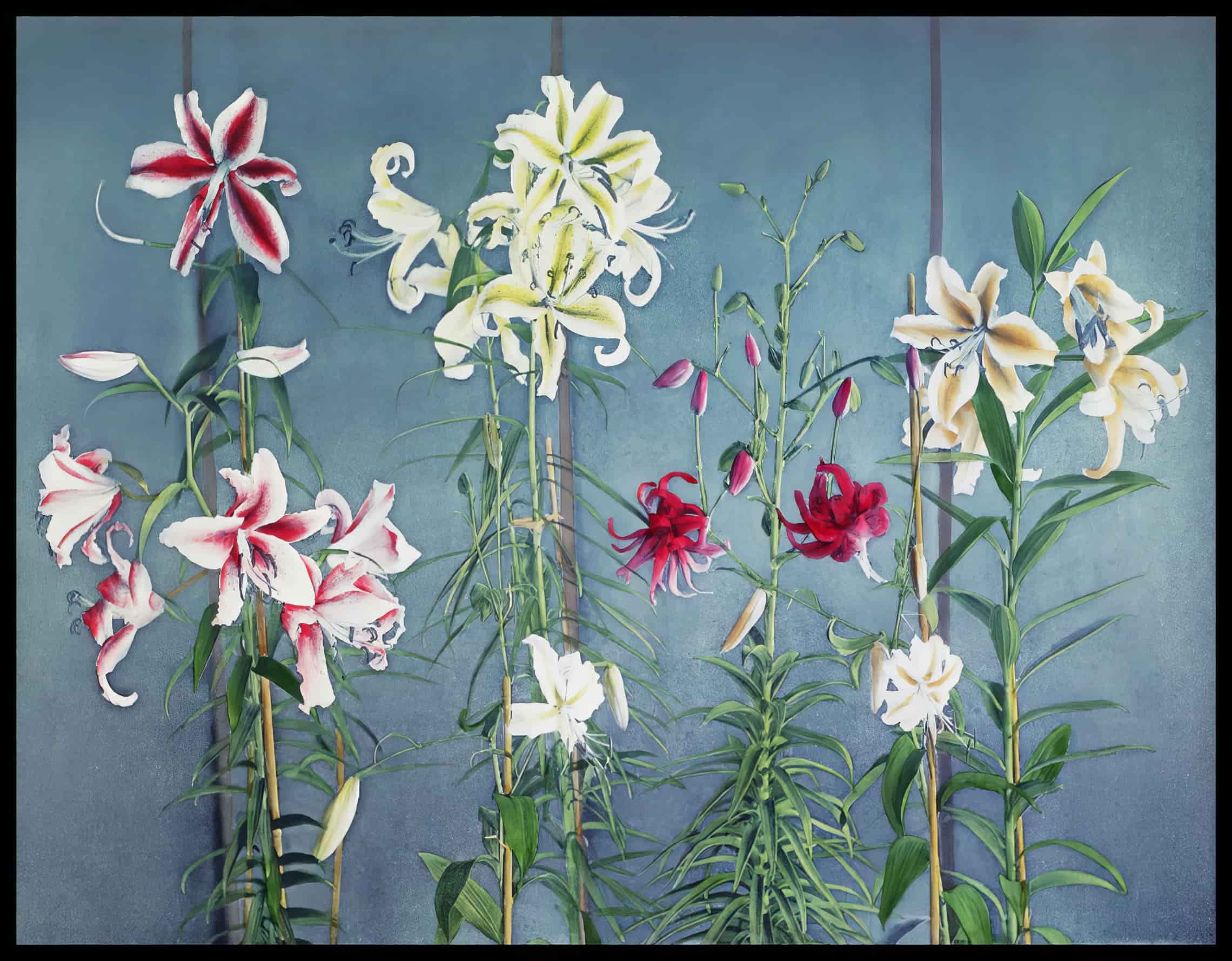 Lily Flowers