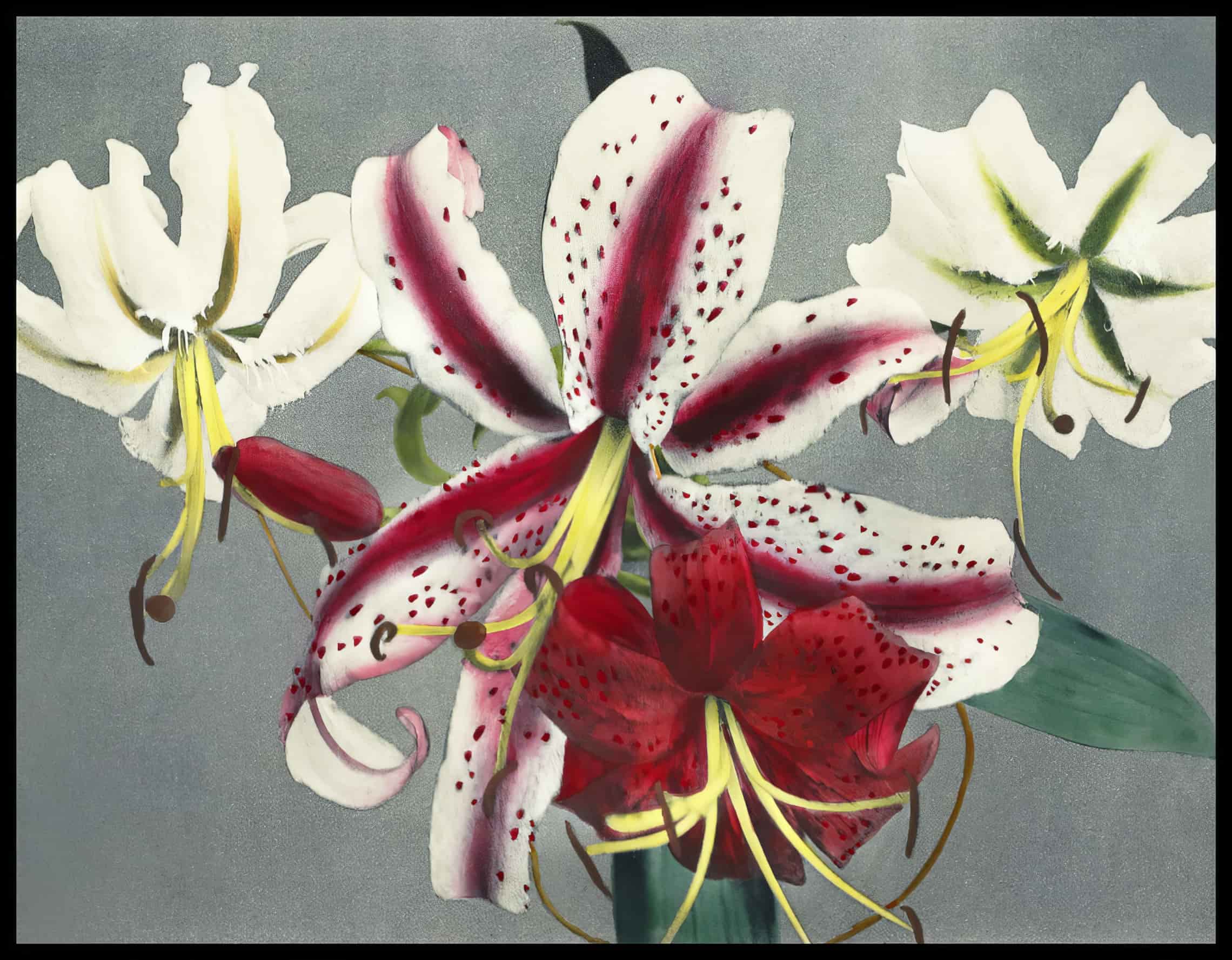 Lily Flowers