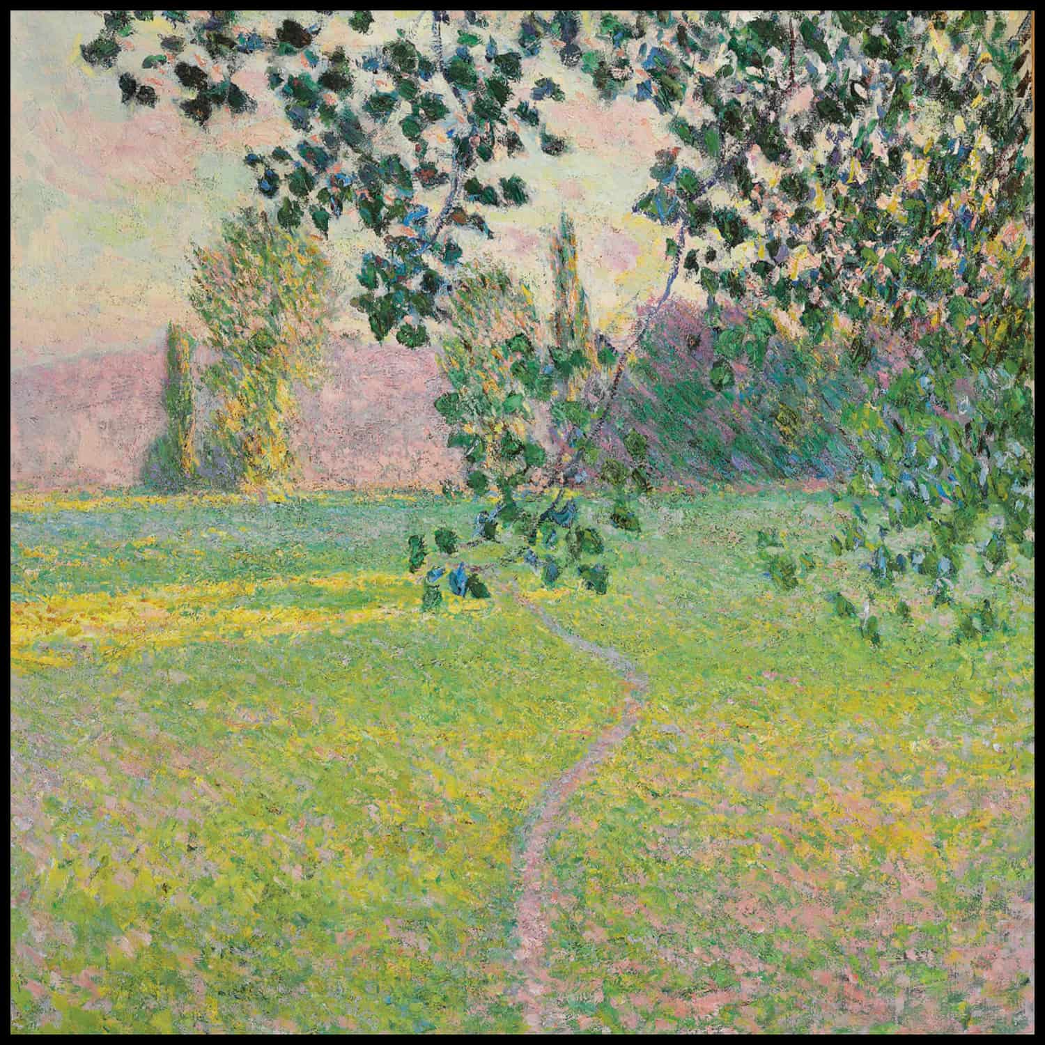 Paysage de matin