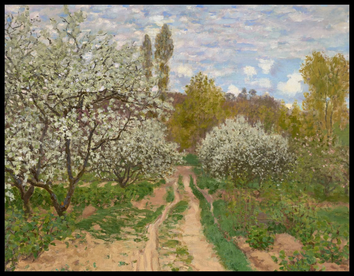 Pommiers en fleurs