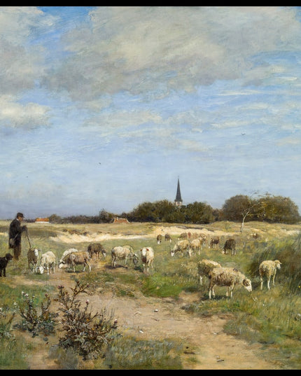 Schafherde in der Normandie