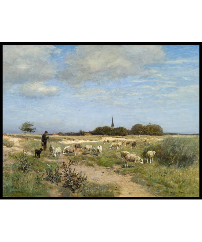 Schafherde in der Normandie