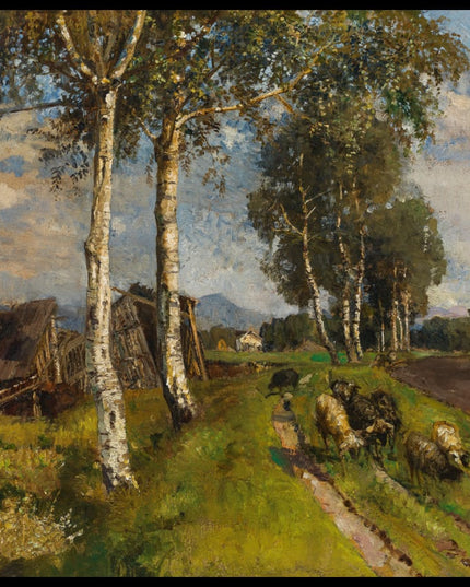 Sommer im Salzburger Moor