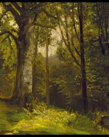 Waldstück mit Laubbäumen