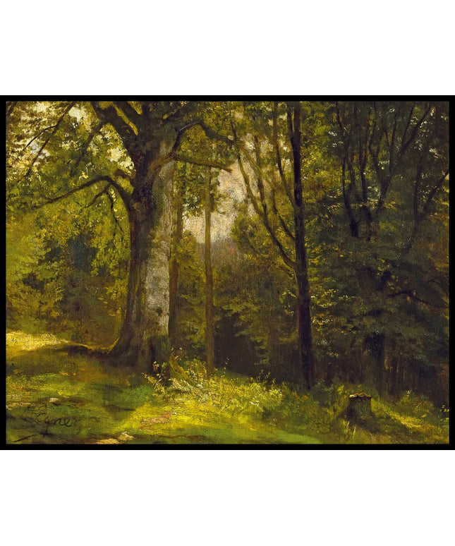 Waldstück mit Laubbäumen