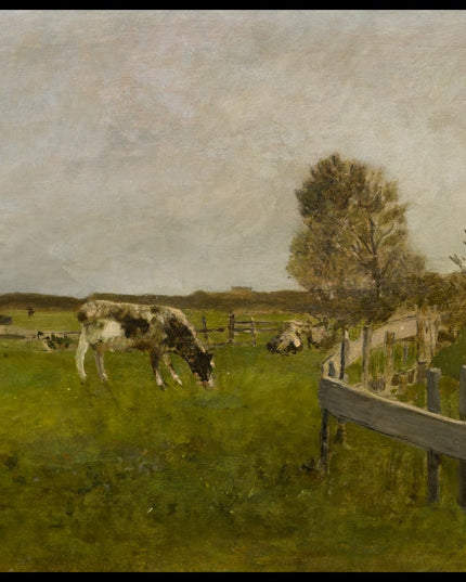 Weide bei Cayeux Picardie