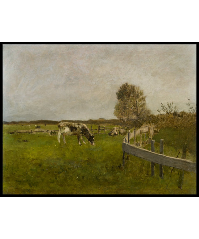 Weide bei Cayeux Picardie