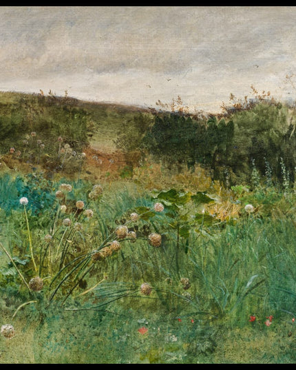 Wiesenstück bei Pont-Aven