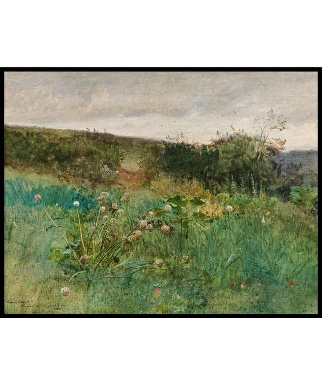 Wiesenstück bei Pont-Aven