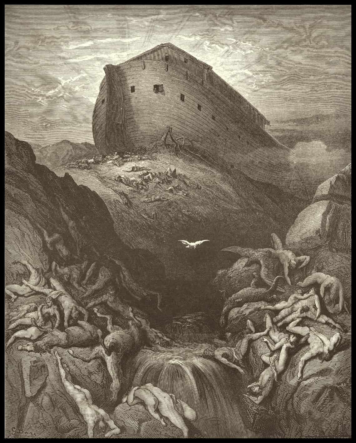 Une douve est envoyée loin de l'arche