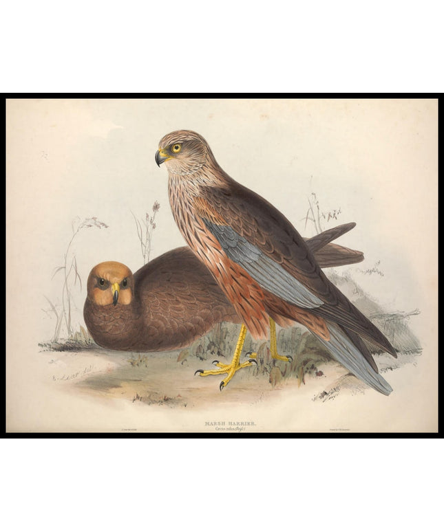 Circus Pallidus Poster