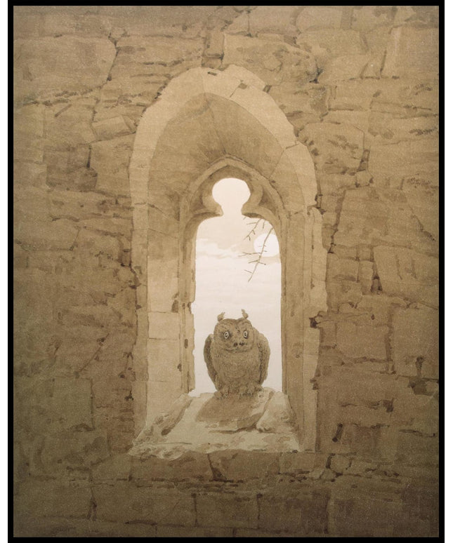 Ein Kunstdruck einer Eule, die in einem gotischen Fenster sitzt
