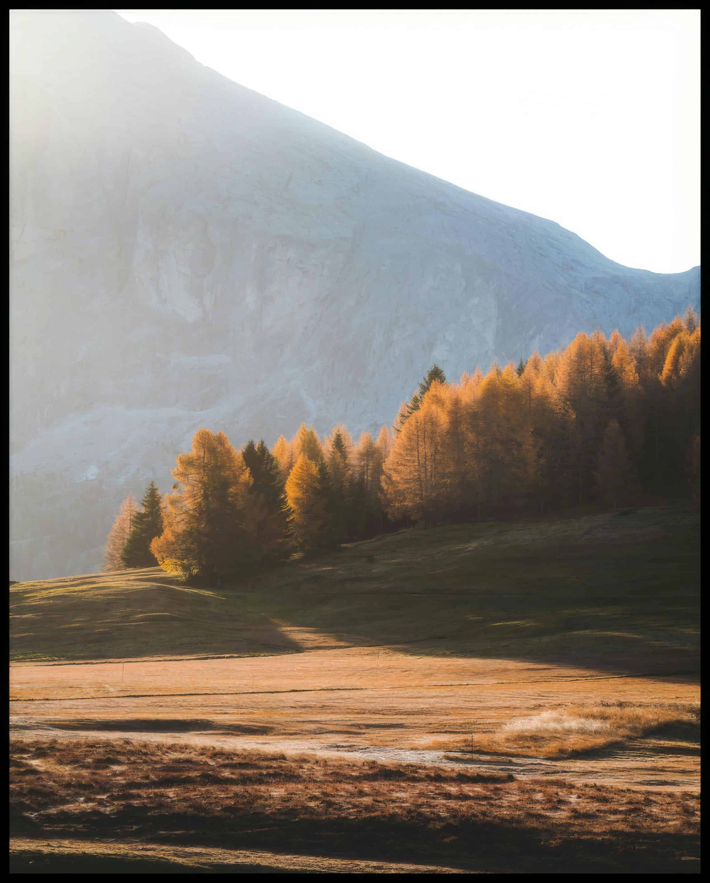 Ein Leinwandbild von einer Herbstlandschaft in den Dolomiten mit Bäumen im Sonnenlicht.