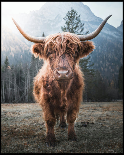 Ein Leinwandbild von einem Highland-Rind, das in einer Gebirgslandschaft steht.