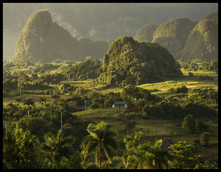 Ein Leinwandbild von einer grünen, tropischen Landschaft in Kuba mit Bergen im Hintergrund.