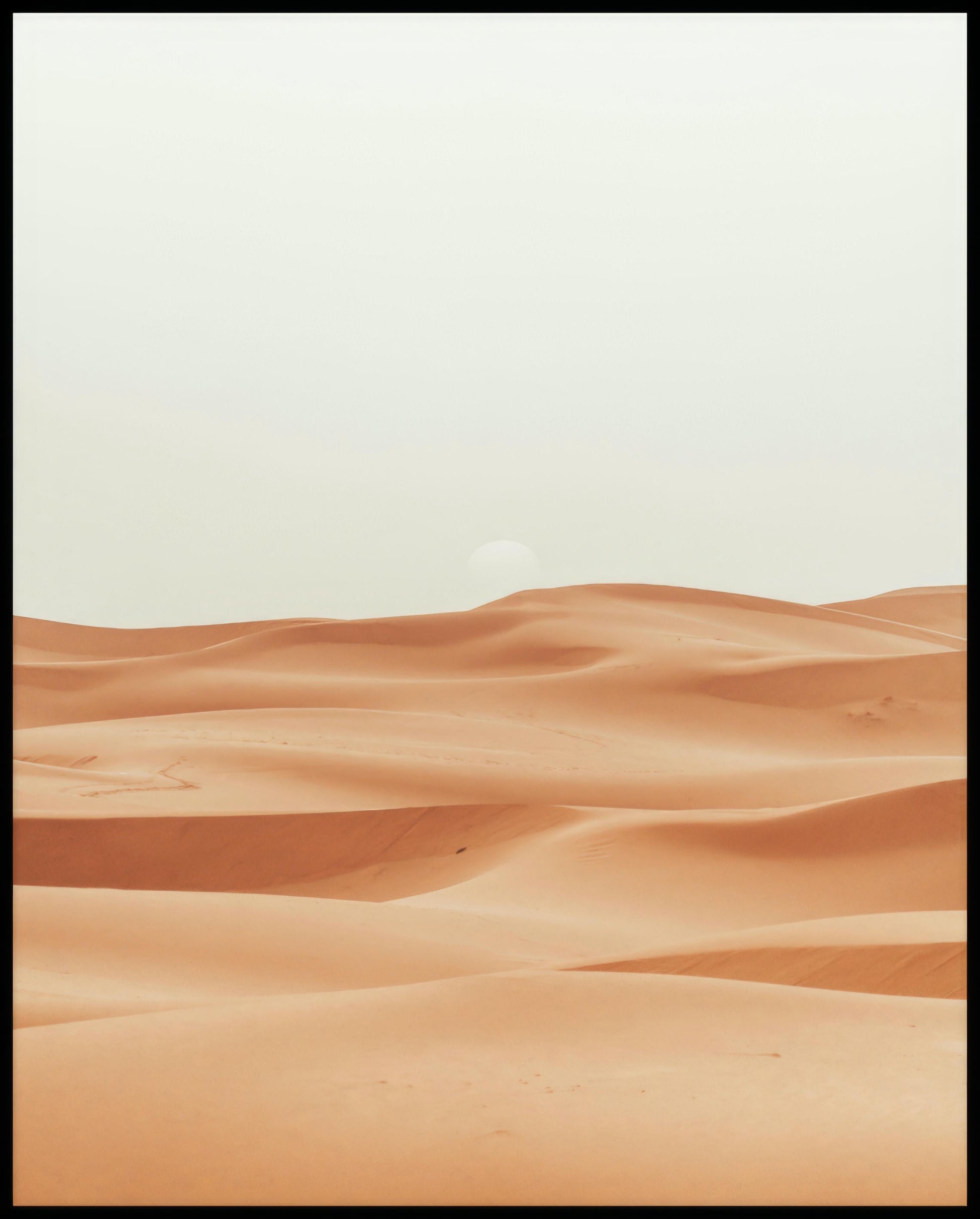Ein Leinwandbild von den weichen, geschwungenen Sanddünen der Sahara.