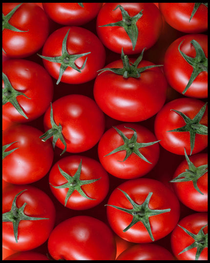 Leinwandbild einer Nahaufnahme von mehreren Tomaten.