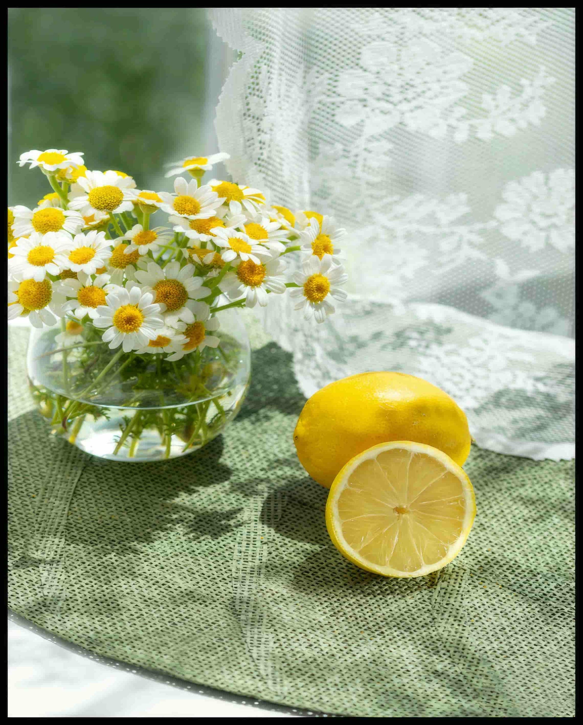 Leinwandbild von zwei Zitronen und Blumen in einem Glas auf einer grünen Unterlage aus Stoff.
