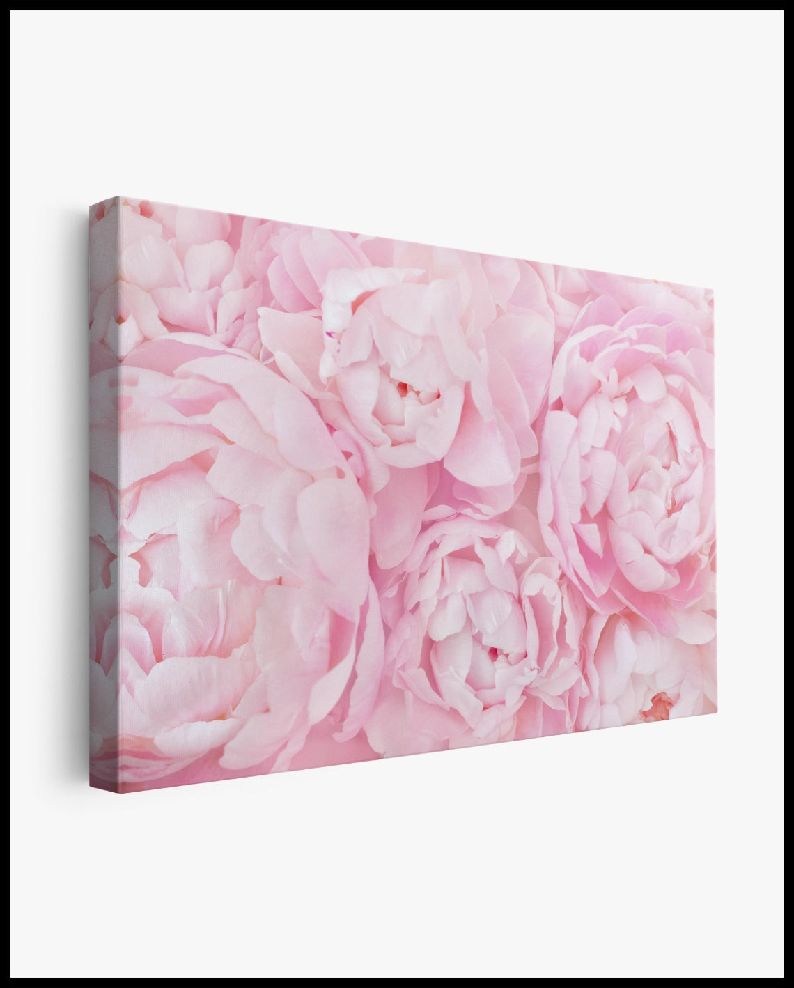 Toile de roses