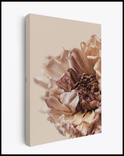 Dried Flower Canvas