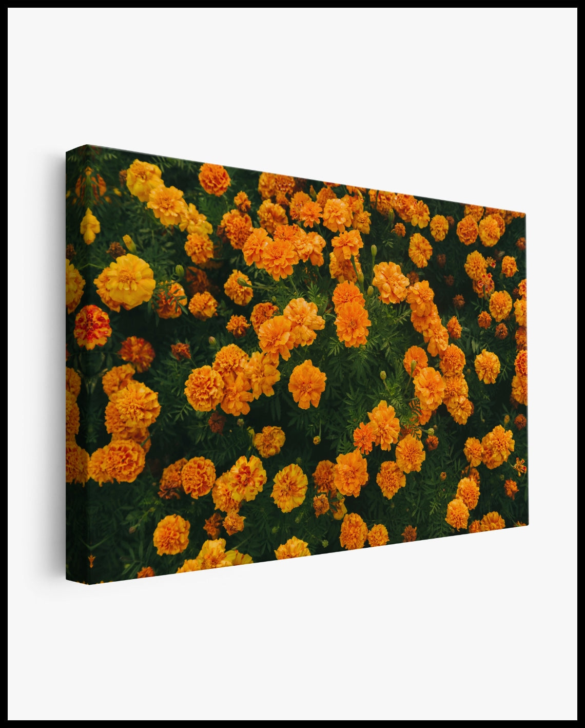 Toile à fleurs