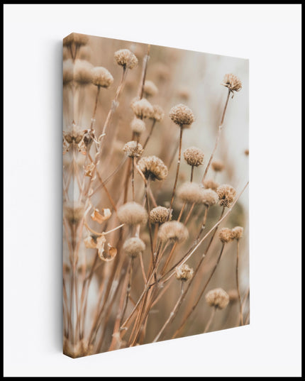 Dried Flowers Canvas