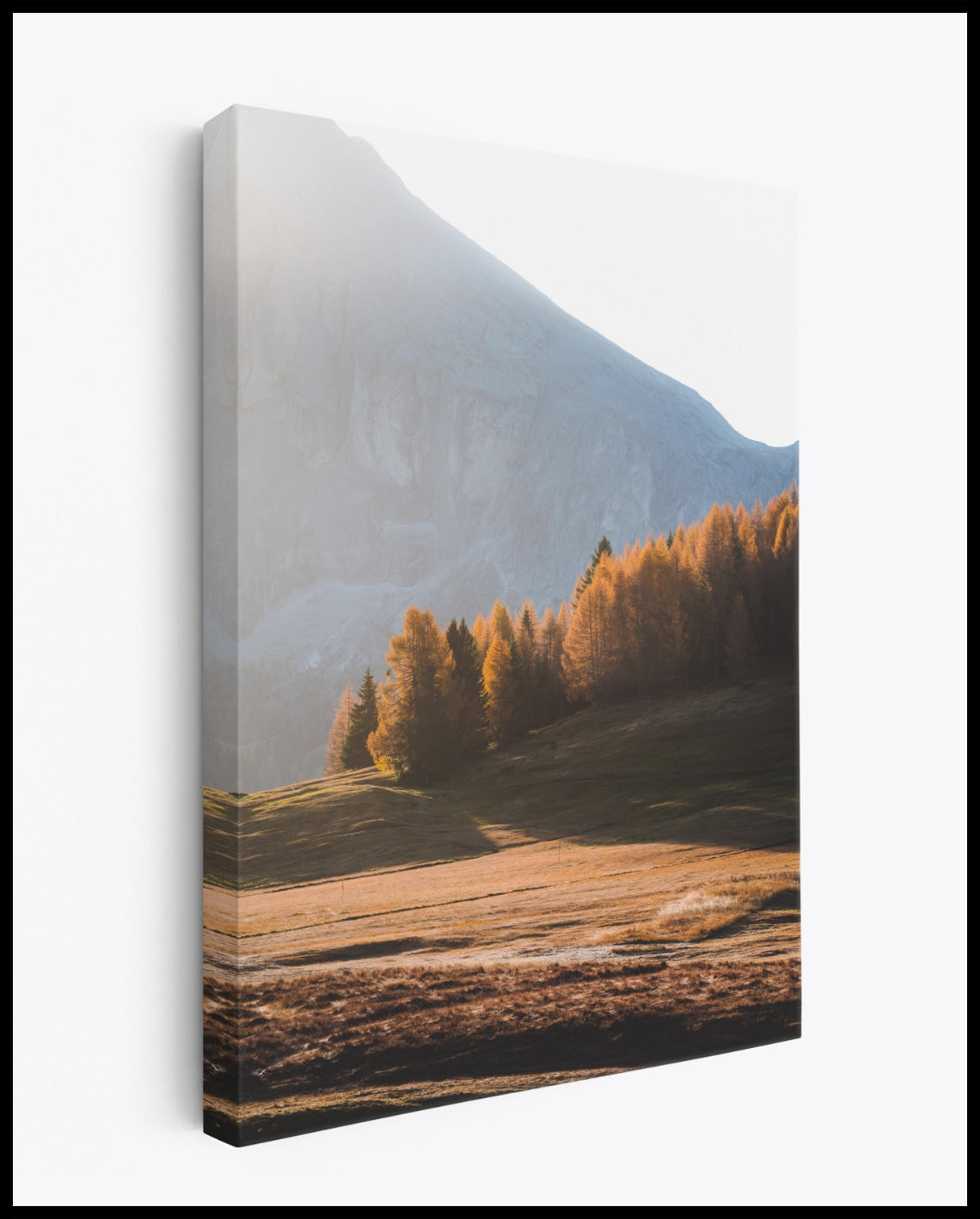 Dolomites Forest Canvas
