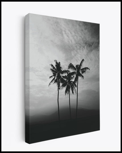 Black and White Palm Tree Canvas