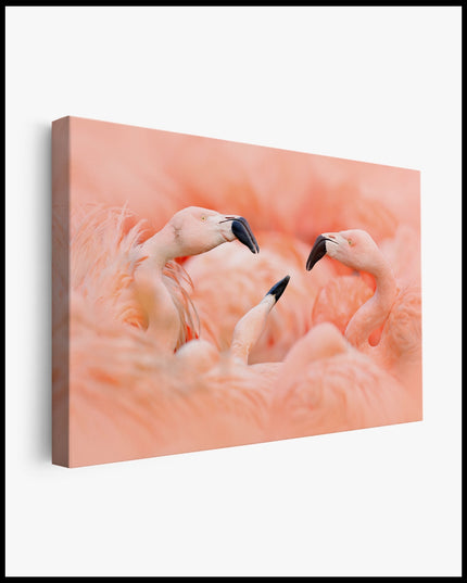 Flamingo Canvas