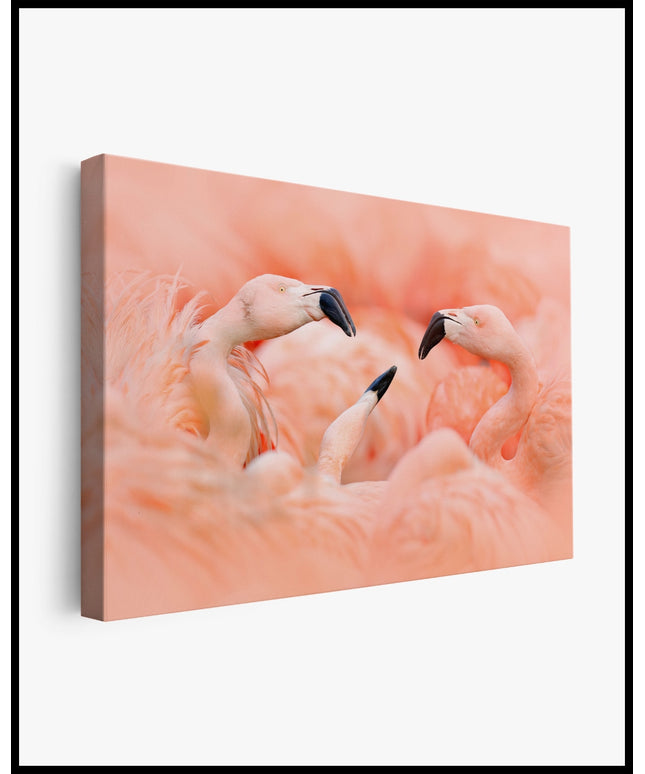Flamingo Leinwand
