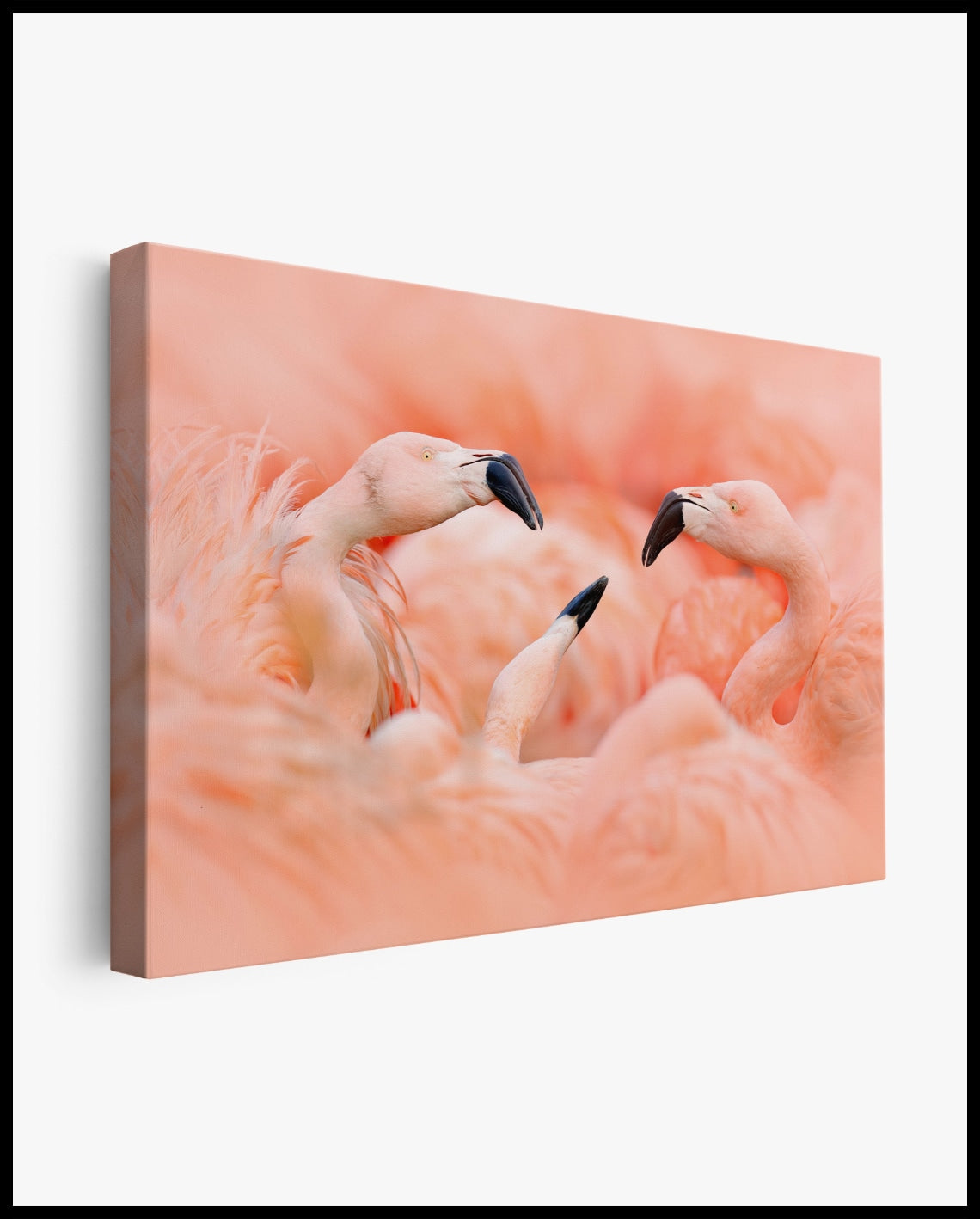 Flamingo Leinwand