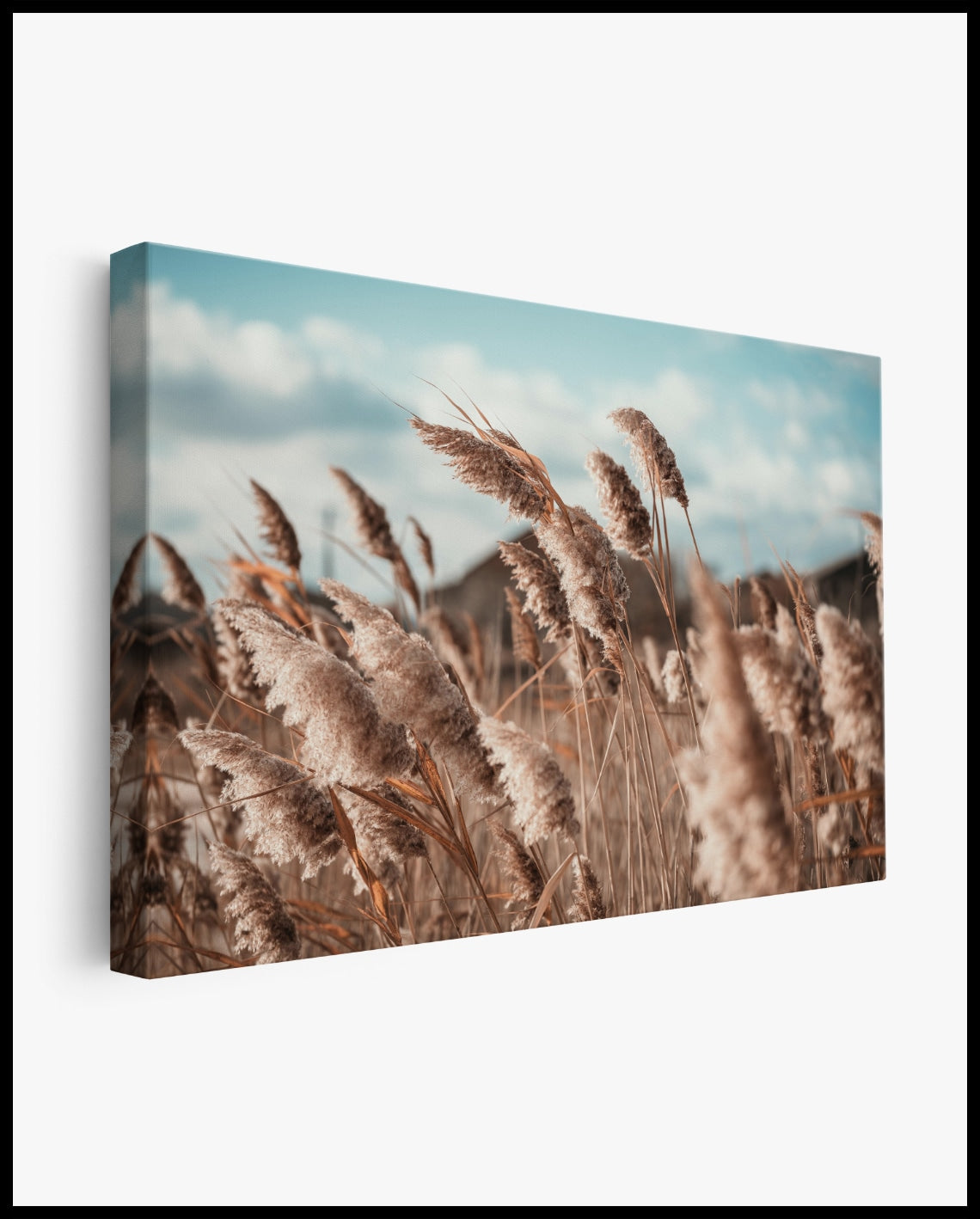Getreide Leinwand