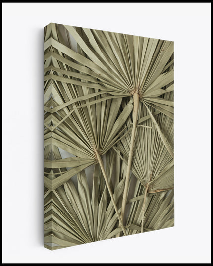 Dry Palm Leaves Canvas