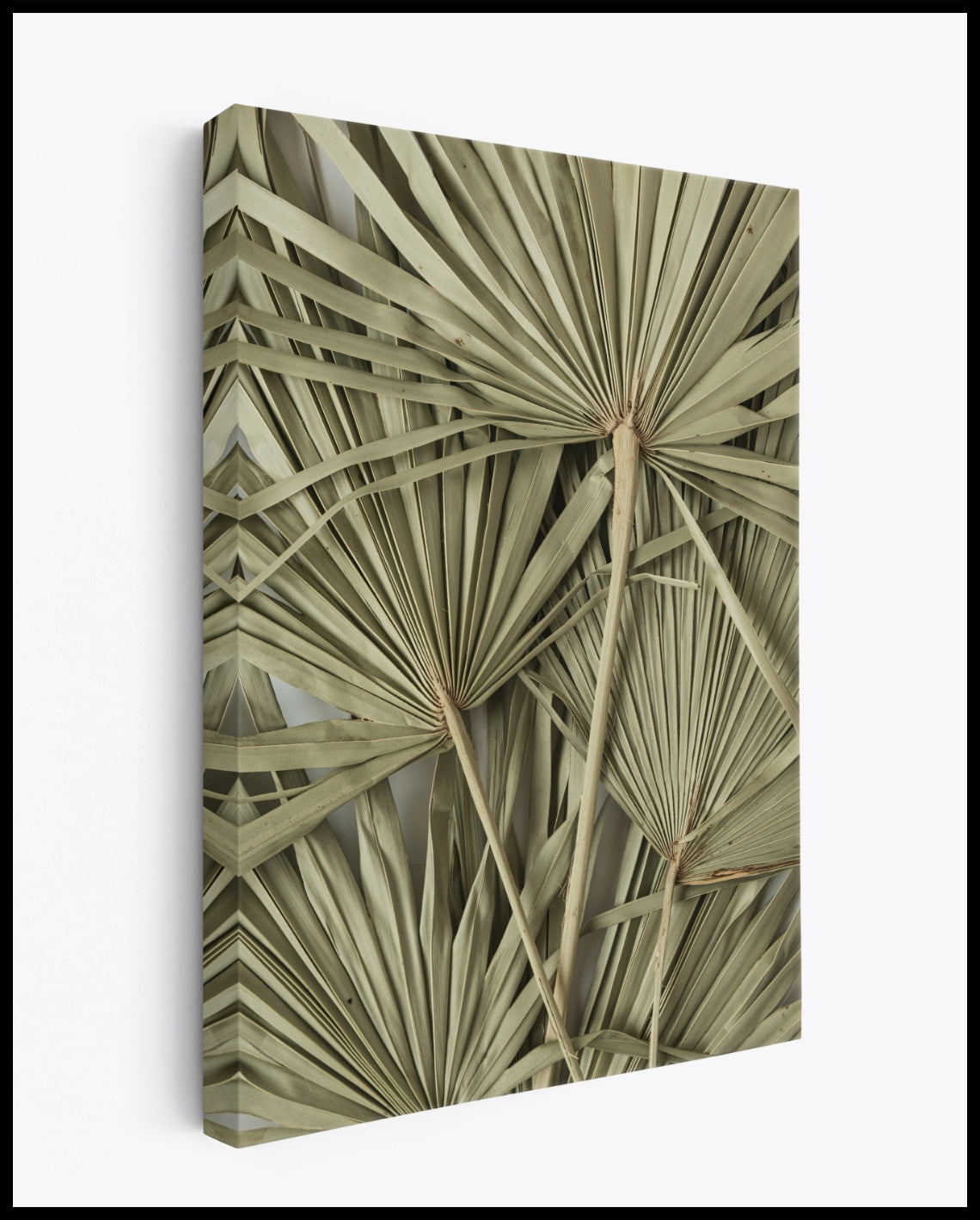 Toile de feuilles de palmier