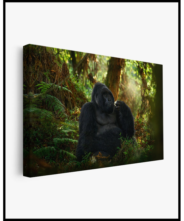 Gorilla Leinwand