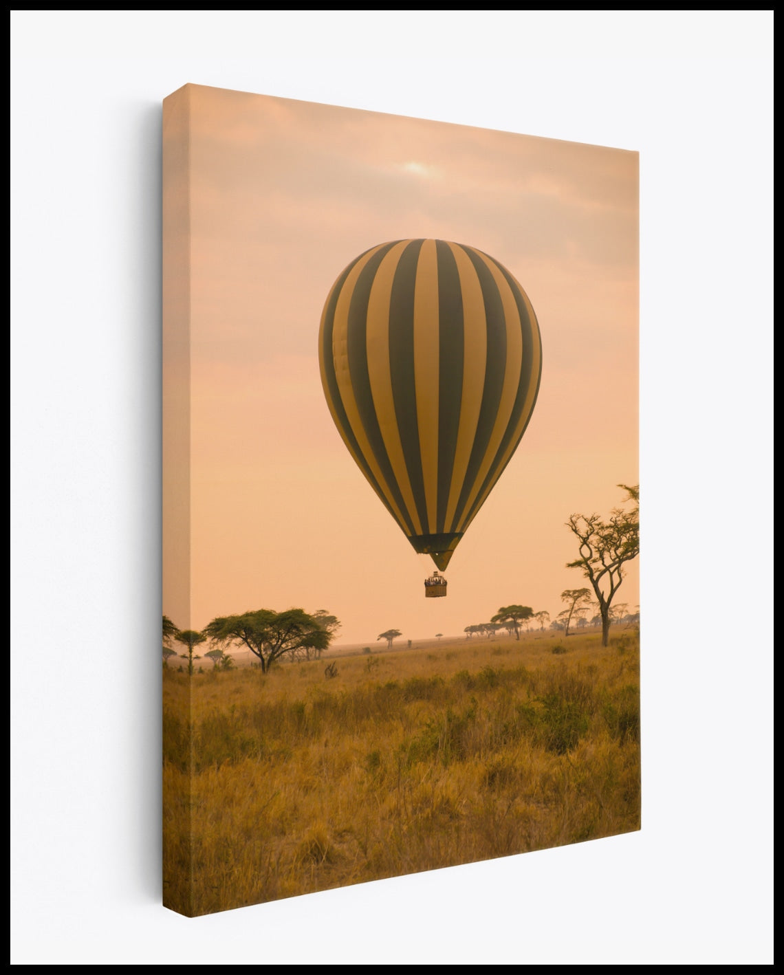 Toile de savane