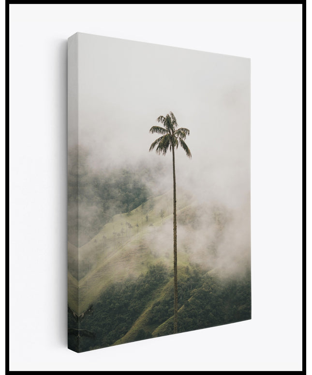 Palmen Leinwand