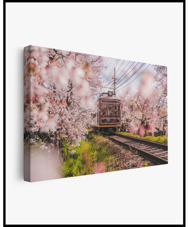 Kirschblüten Leinwand