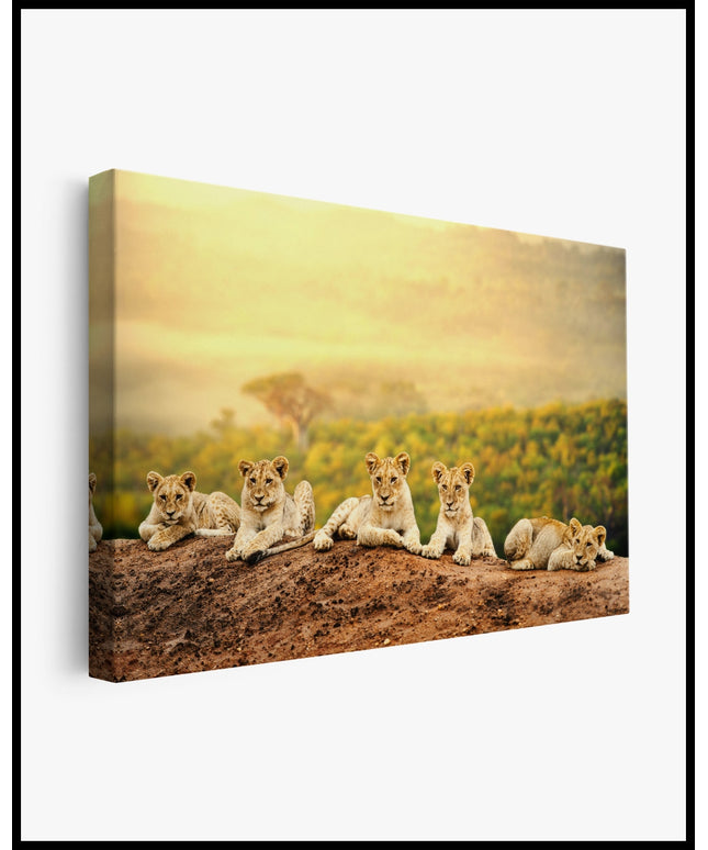 Löwen Leinwand
