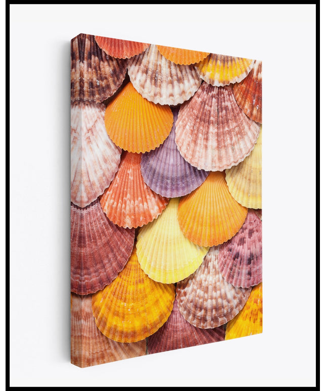 Muscheln Leinwand
