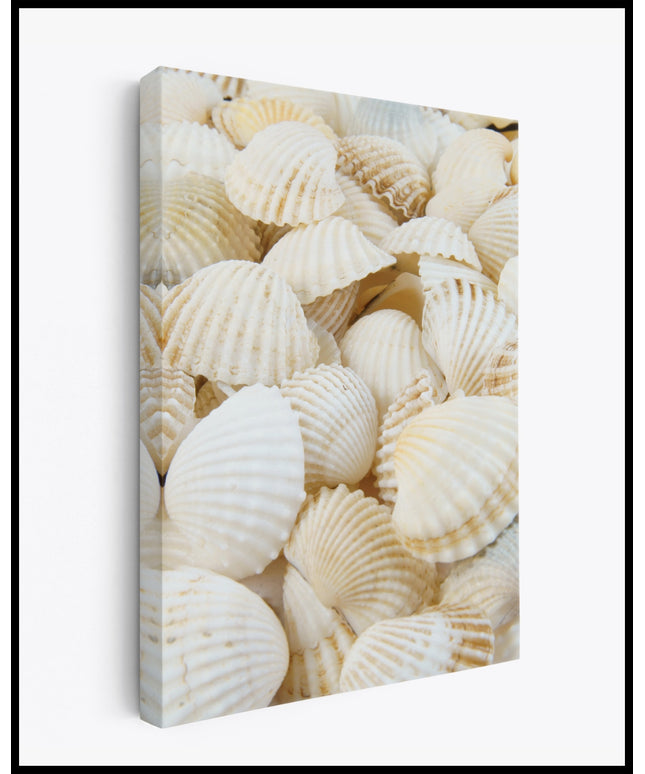 Muscheln Leinwand