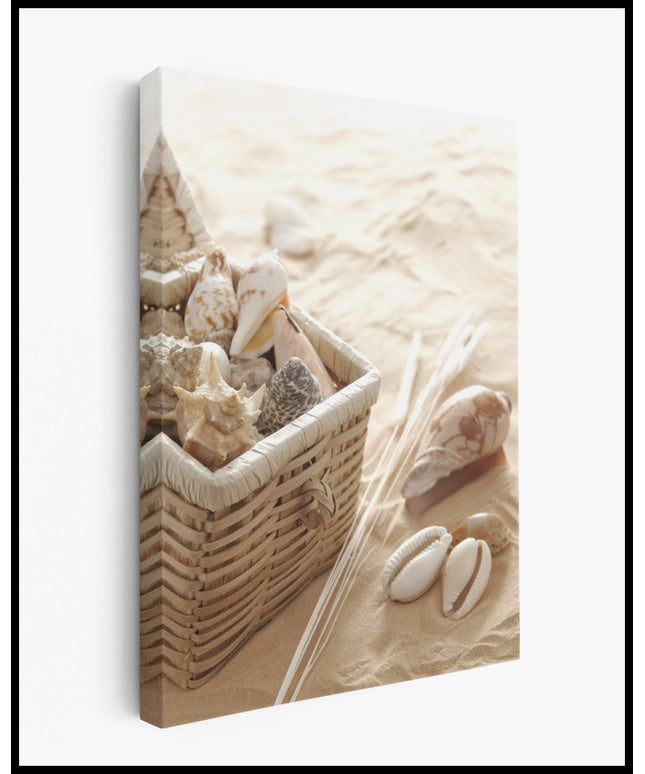 Muscheln Leinwand