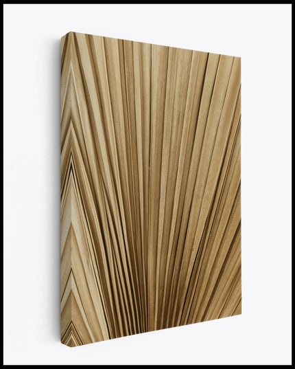 Dry Palm Leaf Canvas