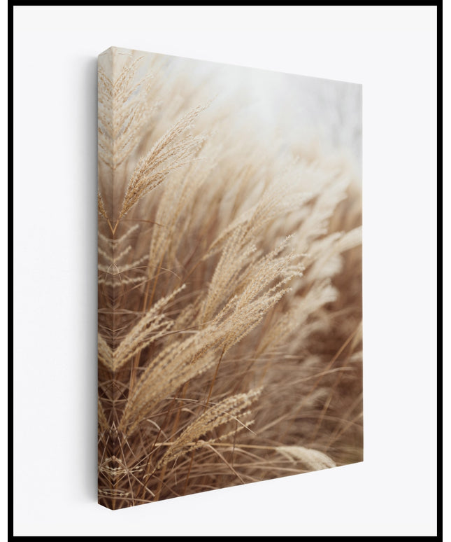 Pampasgras Leinwand