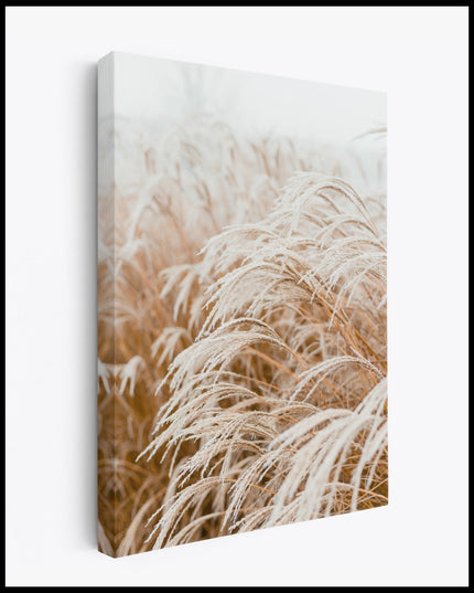 Frozen Pampas Grass Canvas