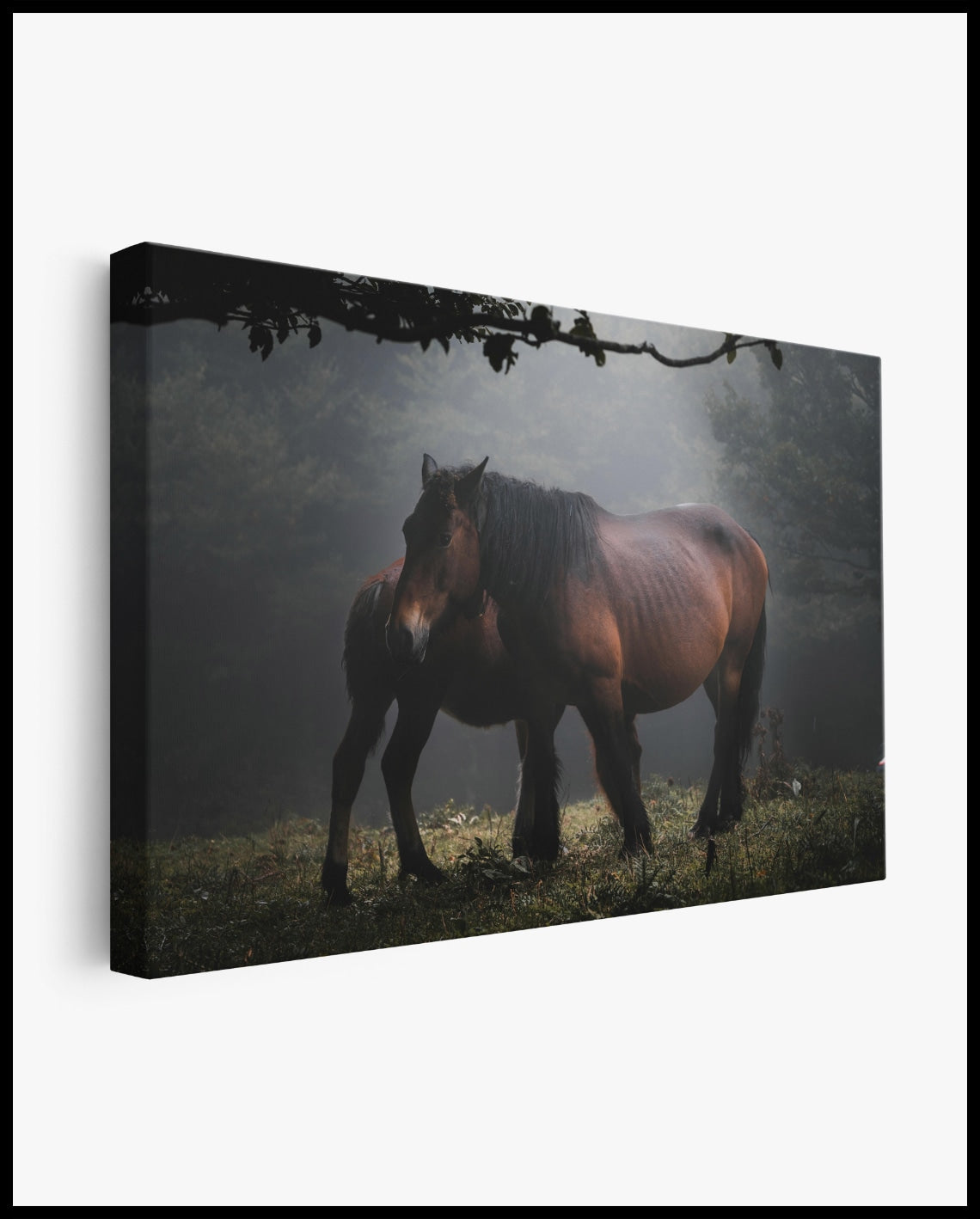 Pferde Leinwand