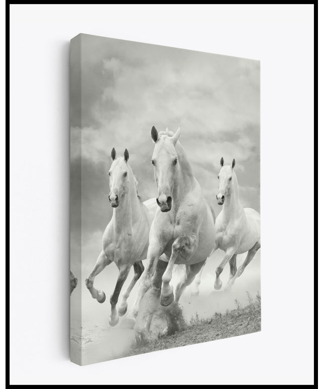 Pferde Leinwand