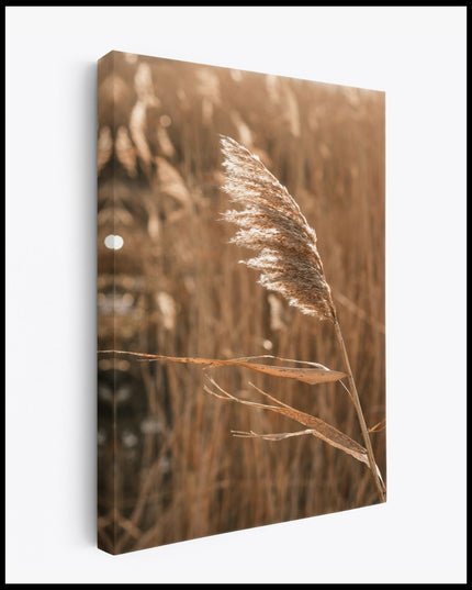 Golden Crops Canvas