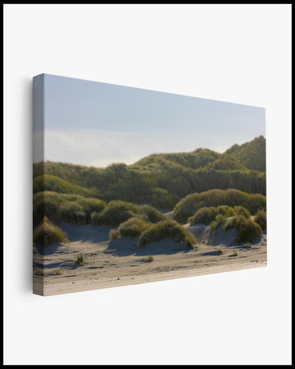 Dunes Beach Grass Canvas